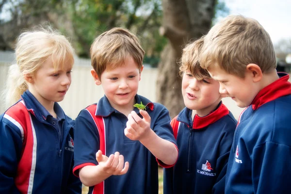 St-Michaels We seek to nurture individuals who are aware of their humility, and who contribute with meaning and purpose to the community and wider world.